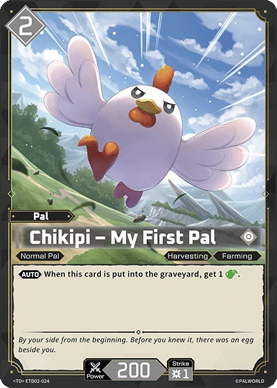 Chikipi – My First Pal